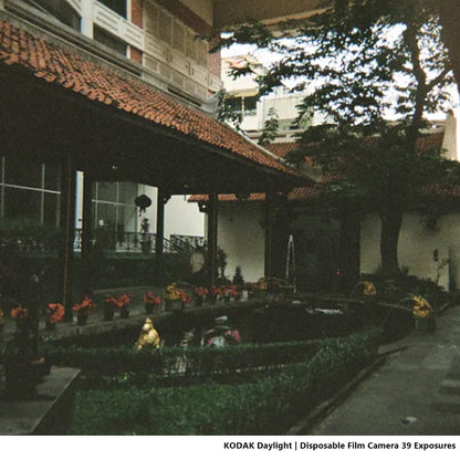 KODAK SUC Daylight Disposable Analog Film Camera with 39 Exposures Shots, 800 ISO,  35mm Film Format and C-41 Print Process for Point and Shoot Photography