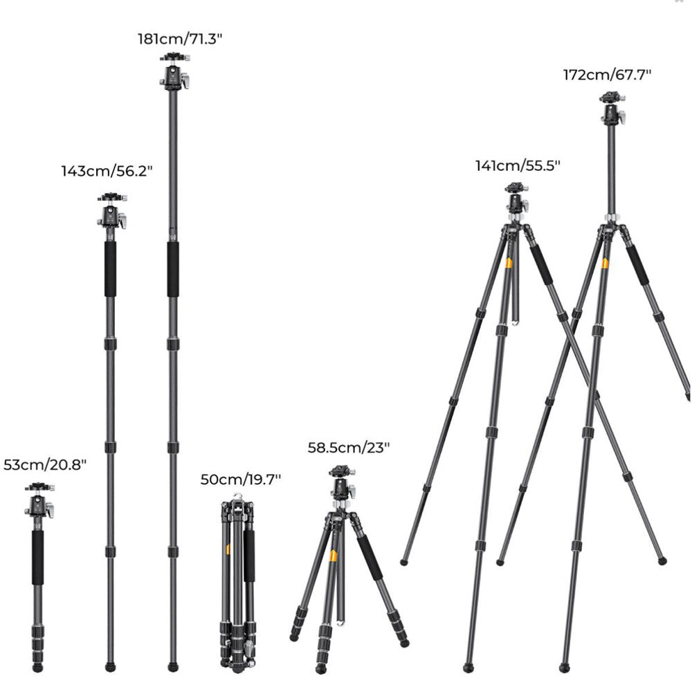 K&F Concept BH-30 Carbon Fiber Tripod with Monopod Function, Quick Release Plate, 30mm Metal Ball Head, 170cm Max Height, 12kg Payload Capacity for Digital Camera, Camcorder, Clip Phone Holder, Video Fill Light, Photography | KF09-116