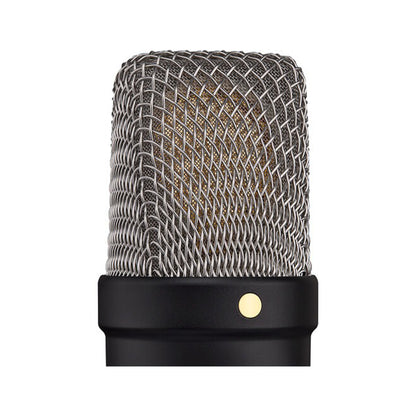 Rode NT1 5th Generation Cardioid Condenser Large Diaphragm Microphone with Analog XLR / Digital USB Type-C Dual Connect Ports, Revolution Preamp and On-board DSP for APHEX and USB Bus / Phantom Powered for Recording, Streaming, Podcasting | Silver, Black
