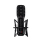 Rode XDM-100 Dynamic USB Type-C Cardioid Microphone with Advanced DSP, APHEX Voice Processing, Revolution Preamp and UNIFY Integrated Plug & Play for Gaming and Live Streaming