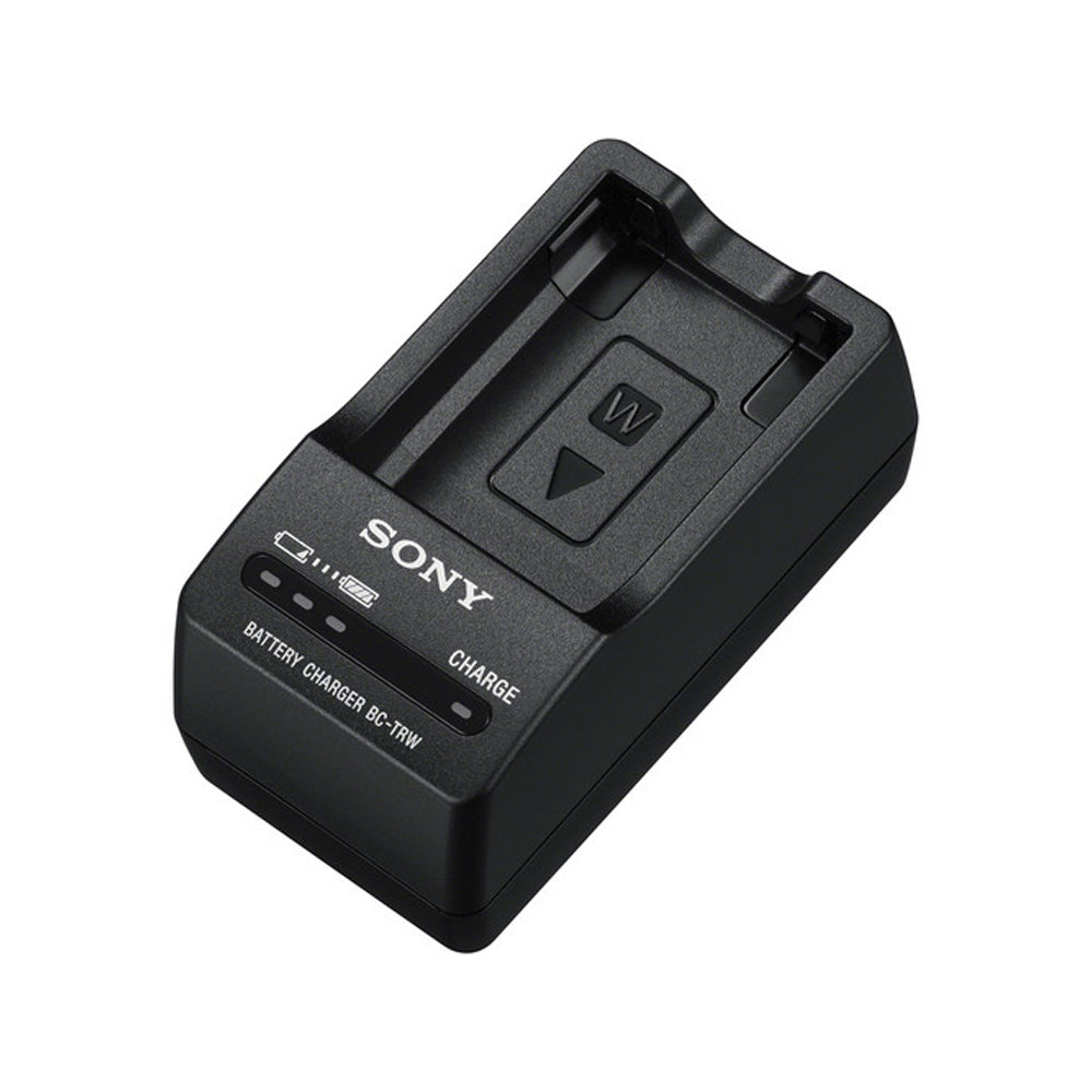 Sony ACC-TRW W Series Charger and 1080mAh Lithium-ion Battery Kit with  Power Cable for Sony Alpha A7 II, A7R II, A7S II, A33, A3000, A5000, A5100,  