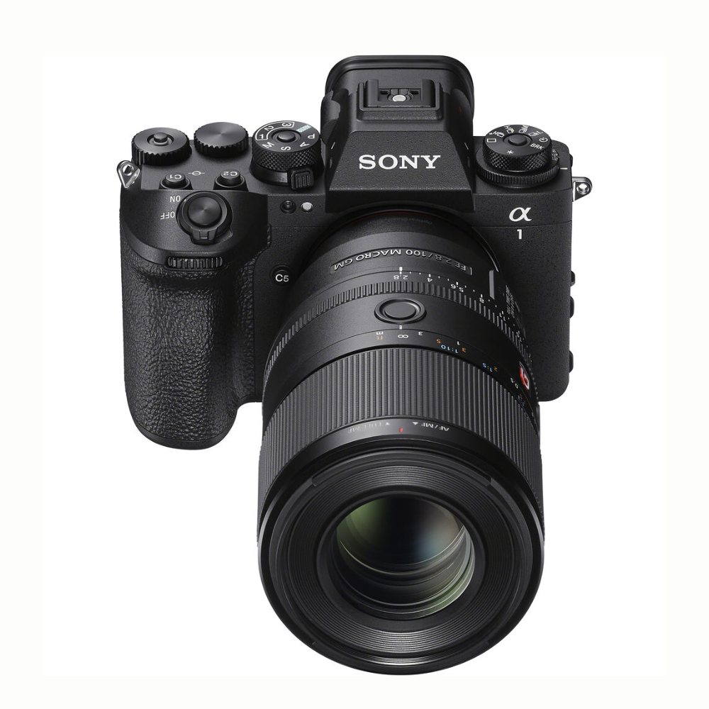 Sony FE 100mm F2.8 GM Macro OSS Full Frame E-Mount Prime Lens