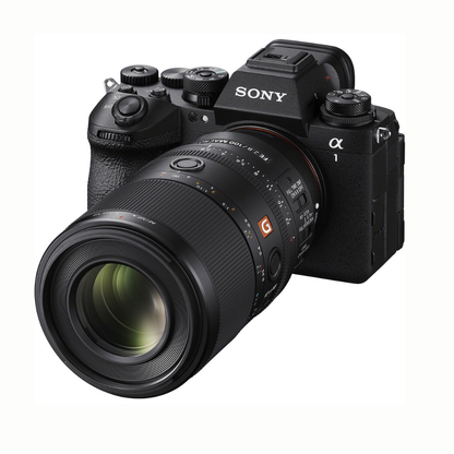 Sony FE 100mm F2.8 GM Macro OSS Full Frame E-Mount Prime Lens