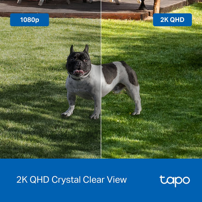 TP-Link Tapo C425 2K QHD Indoor/Outdoor Battery-Powered Smart Wi-Fi Home Security Camera with Full-Color Night Vision, Subject Detection, Two-Way Audio, Sound & Light Alarm, Voice Assist | CCTV & Surveillance Cameras | TP LINK TPLINK