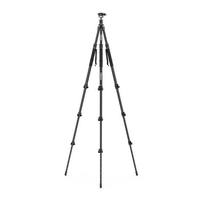 Ulanzi TT35 Carbon Fiber Hiking Stick Tripod Kit with Arca-Swiss and F38 Quick Release Plate Compatible Ball Head for Camera, Detachable 4-Section Monopod Legs, 146cm Maximum Working Height, and 5kg Load Capacity for Photography