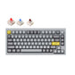 Keychron Q1 QMK 84 Keys Compact Wired Tenkeyless Mechanical Keyboard with Hot-Swappable Switches, RGB Backlight and Programmable Knob and Gateron Pro Switch for Mac and Windows PC (Red Linear, Blue Clicky, Brown Tactile) (Silver Grey) Q1N1 Q1N2 Q1N3
