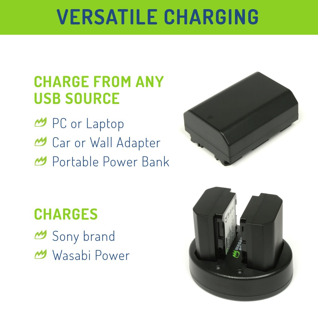 Wasabi Power (2-Pack) SONY NP-FZ100 NPFZ100 Battery and Dual Charger with USB-A to Micro USB Charging Cable for Sony a1, a7 III, a7 IV, a7C II, a7CR, a7R III, a7R V, a7S III, a9 II, a6600, a6700, FX3, FX30, ZV-E1 Digital Camera | JG Superstore