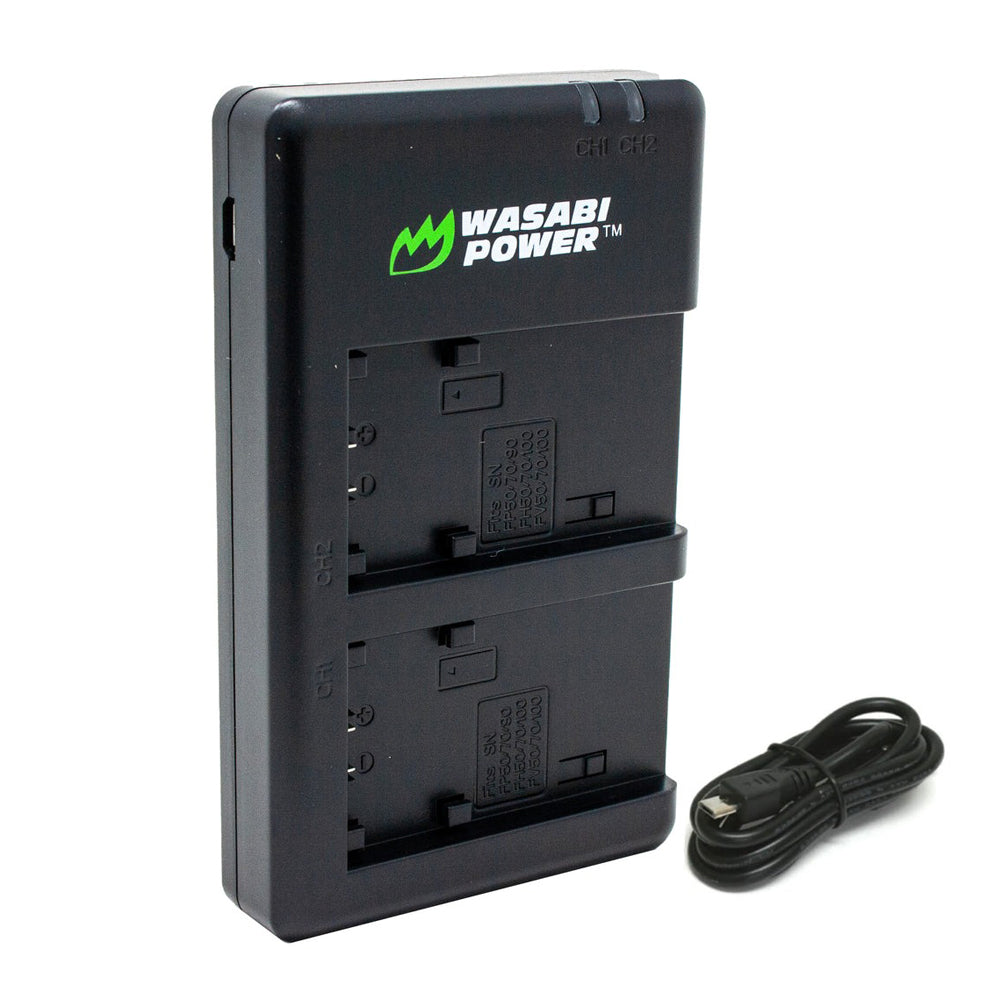 Wasabi Power (2-Pack) SONY NP-FV100 Battery and Dual Charger for NP-FV50  NP-FV70 NPFV100 V-Series Batteries u0026 Select Sony Handycam PXW-Z450 PXW-Z90  ...