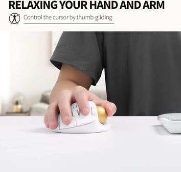 [CLEARANCE] Delux MT1 DB Bluetooth and 2.4 GHz Wireless Ergonomic Trackball Optical Mouse with 2400 DPI Resolution Sensor, Up to 6 Programmable Buttons, and Multi-Device Connectivity for PC and Laptop Computers, Phones, and Tablets - White - Color - White