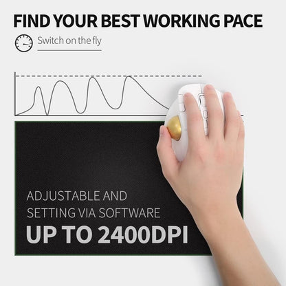[CLEARANCE] Delux MT1 DB Bluetooth and 2.4 GHz Wireless Ergonomic Trackball Optical Mouse with 2400 DPI Resolution Sensor, Up to 6 Programmable Buttons, and Multi-Device Connectivity for PC and Laptop Computers, Phones, and Tablets - White - Color - White