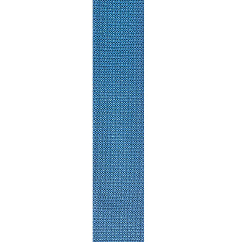 Planet Waves 39" x 69" Polypropylene 2" Guitar Strap with Strong and Secure Leather Ends (Black, Red, Blue, Silver) | PWS