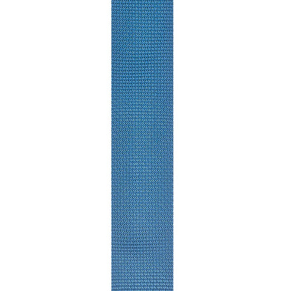 Planet Waves 39" x 69" Polypropylene 2" Guitar Strap with Strong and Secure Leather Ends (Black, Red, Blue, Silver) | PWS