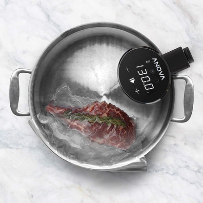 Anova Sous Vide no 220V Precision Cooker no Bluetooth Anova App Included