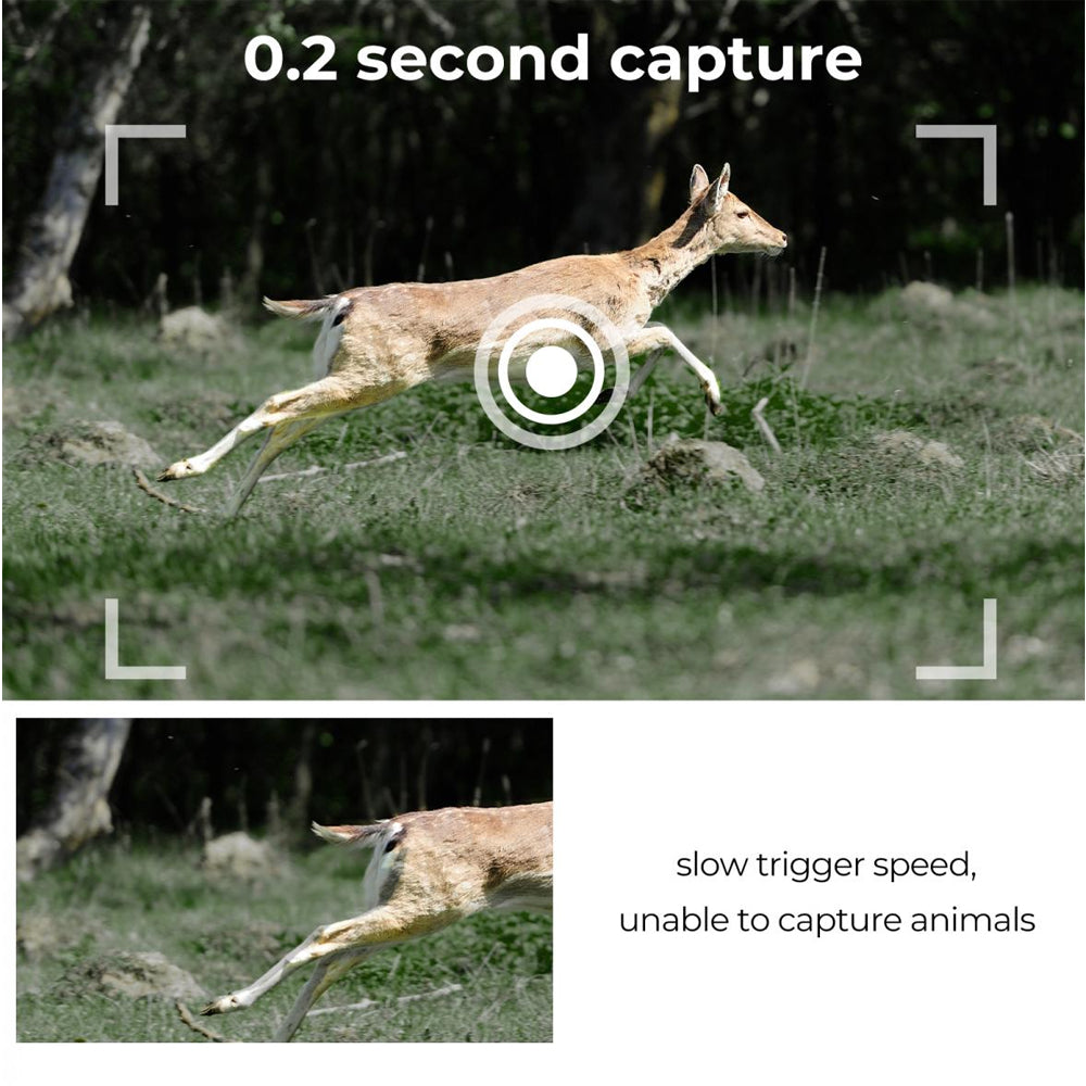 K&F Concept A101XS Outdoor Wildlife Trap Trail Camera Waterproof with High-Definition 1296P Video 24MP Photo,  120° Wide Angle Motion Detector Sensor, IR Night Vision, High-Speed Trigger Timing