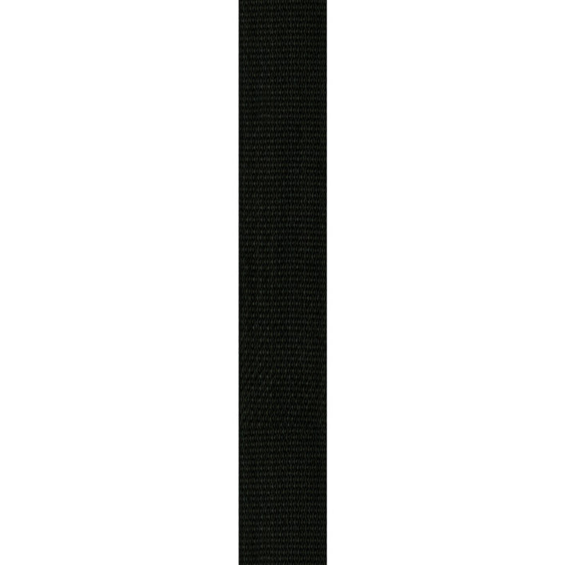 Planet Waves 39" x 69" Polypropylene 2" Guitar Strap with Strong and Secure Leather Ends (Black, Red, Blue, Silver) | PWS