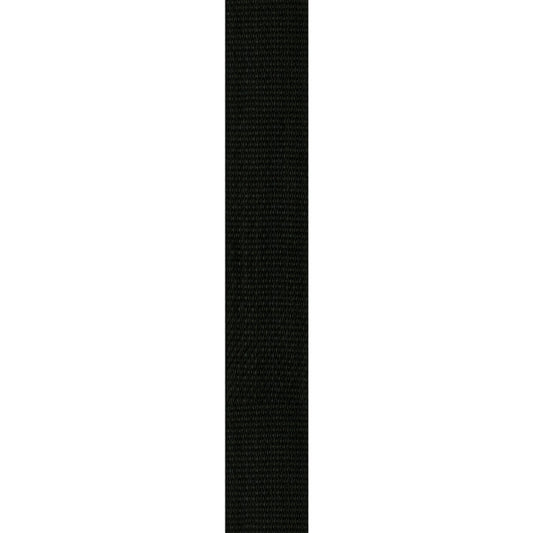 Planet Waves 39" x 69" Polypropylene 2" Guitar Strap with Strong and Secure Leather Ends (Black, Red, Blue, Silver) | PWS