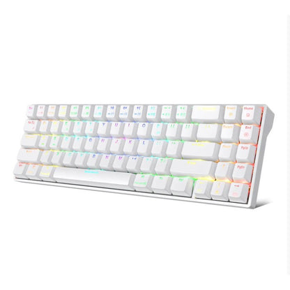 Royal Kludge RK RK71 RGB 71 Keys Dual-Mode 70% Mechanical Gaming Keyboard Wireless Bluetooth Hot Swappable