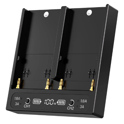 ZITAY PD100W 2-Channel 100W USB-C Charger for BP-A30/A60, BP-U30/U6 & U90