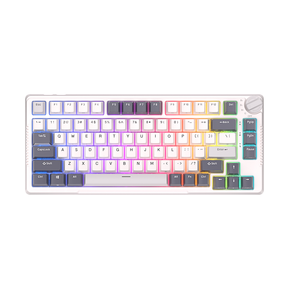 Royal Kludge RK H81 RGB 81 Keys Tri-Mode Gasket Structured Mechanical Gaming Keyboard with Bluetooth 5.1, 2.4Ghz Wireless and USB-C Interface with Hot Swappable Switches