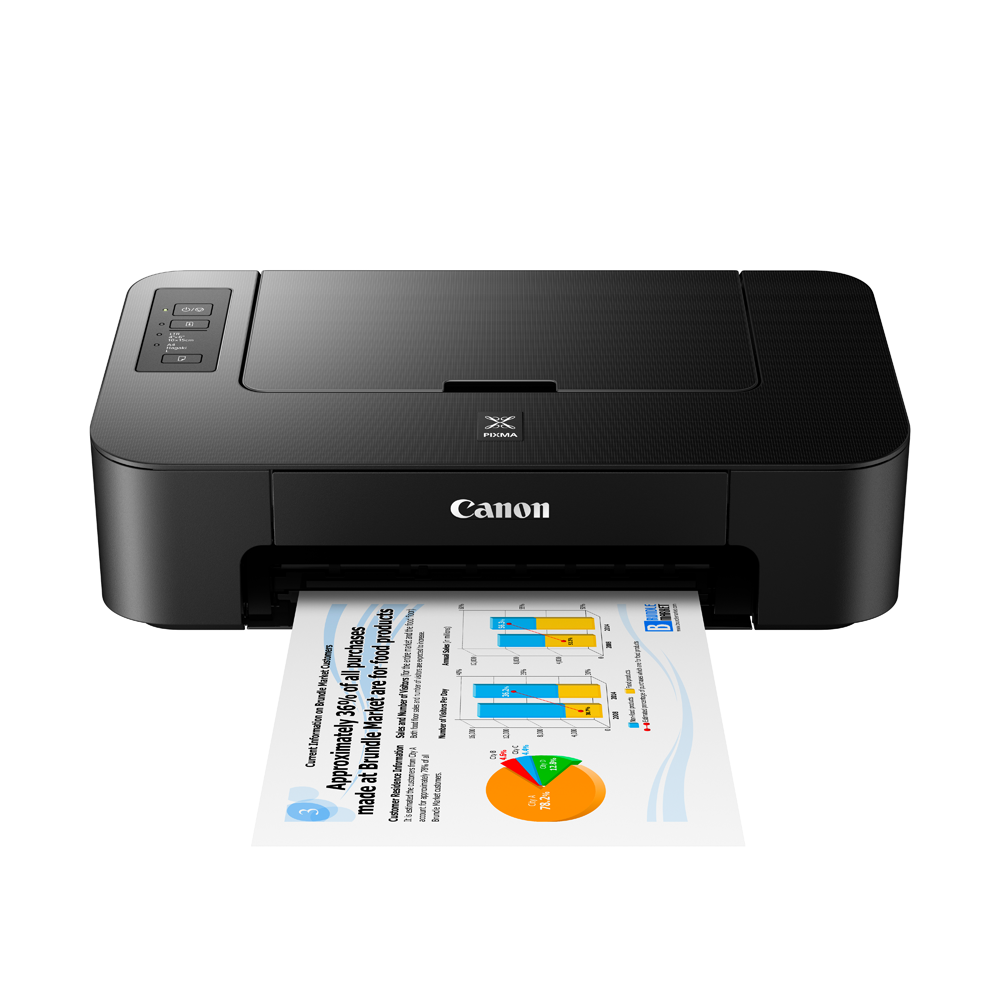 Canon PIXMA TS207 Inkjet Cartridge Type Printer with 4800DPI High Resolution, 60 Max Rear Tray Sheets, 8ipm Print Speed Printing and USB 2.0 High Speed Connectivity for Home Use