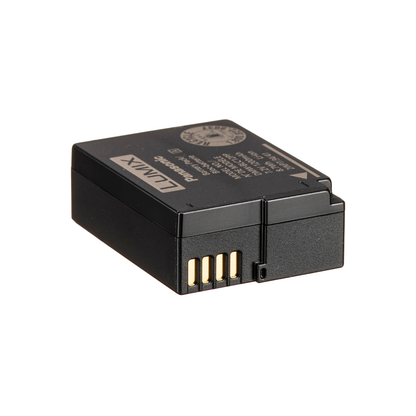 Panasonic DMW-BLC12E Rechargeable Lithium-ion Battery (7.2V, 1200mAh)