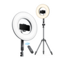 TaoTronics 14" RingLight with Tripod Stand and up to 6500k Color Temperature Perfect for Livestreaming and Vlogging TT-CL030