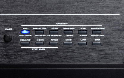 Alesis Recital Stage Pro 88-Key Full Size Digital Piano Electric Keyboard with Hammer-Action Keys Power Adopter Music Rest