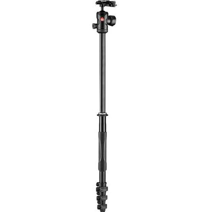 Manfrotto Befree 2N1 Aluminum Tripod with 494 Ball Head (Lever Lock)