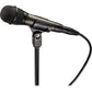 Audio Technica ATM610a Handheld Hypercardioid Dynamic Microphone