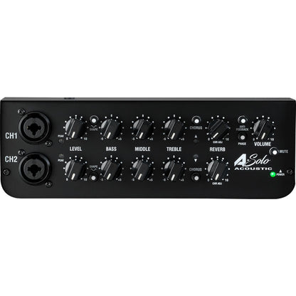 Laney A-Solo 60 Watts 2-way Channel Portable Acoustic Guitar Amplifier with Feedback Elimination Control Feature