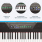 Alesis Recital 61 Semi Weighted Keys Digital Piano Electric Keyboard