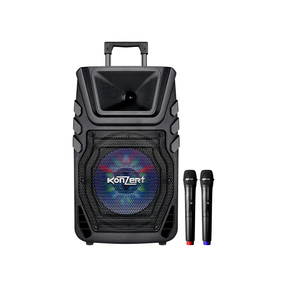 Portable trolley hot sale speaker with microphone