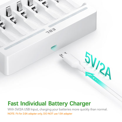 EBL TB-6901 C9010N 8-Bay iQuick Battery Charger with 2A Fast Charging Individually Controlled Slots, LED Status Indicator Lights, and Intelligent Overcharging Protection for AA AAA NiMH Rechargeable Batteries