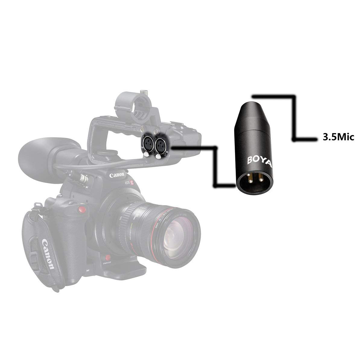 Boya 35C-XLR 3.5mm (TRS) Mini-Jack Female Microphone Adapter to 3-pin XLR Male Connector for Camcorders, Recorders, & Mixers