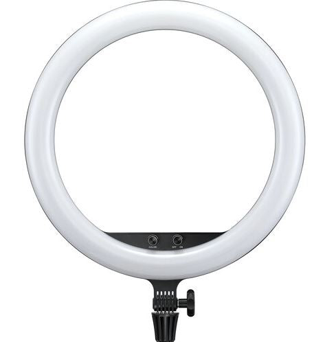 Godox LR120 Bi-Color 3000K-6000K 12-inch LED Ring Light for Youtube, Vlogging, etc. with Phone Holder
