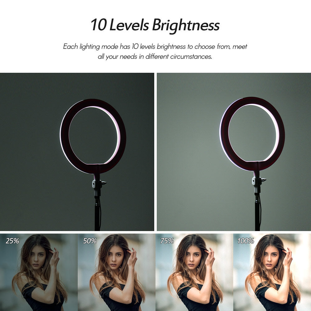 Pxel RK20 LED Ring Light 10-inches 26cm Bi-Color with 200cm Light Stand