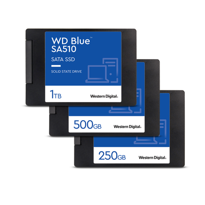 [CLEARANCE] Western Digital WD Blue SA510 2.5" 250GB SATA III SSD Solid State Drive with 560MB/s Max Sequential Read Performance for PC Computer and Laptop WDS250G3B0A
