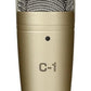 Behringer Voice Studio Recording Bundle with Studio Condenser Microphone, USB to Audio Tube Preamplifier with 16 Preamp Voicings for Studio Recordings