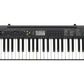 Casio CTK-240-FA 49 Keys Portable Digital Piano Keyboard with Adapter, Built-in Songs, Tones, Rhythms, and Auto-Accompaniment (Black)