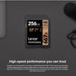 Lexar LSD256B667 Professional 667x UHS-I SDXC 256GB Memory Card for PC's, Laptops