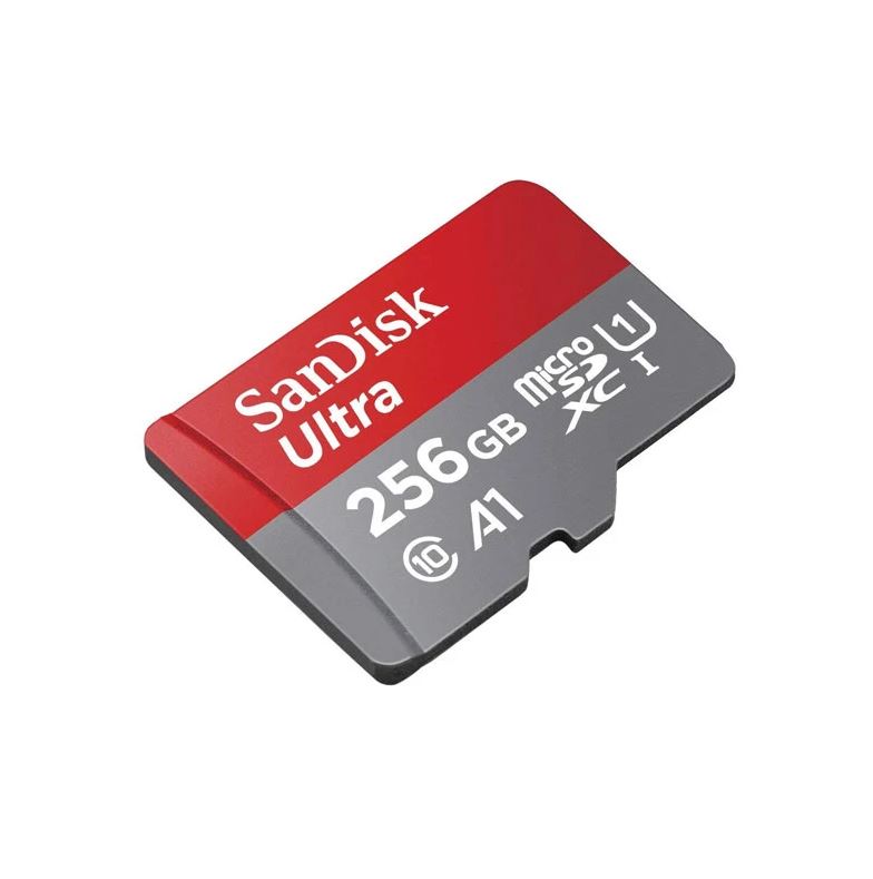 Carte mémoire MicroSD UHS-I SanDisk Ultra A1 256 Go Rouge et gris - Carte  mémoire micro SD