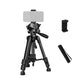 Jeifn by Zomei T-60 Extendable Tripod with QR Plate and Phone Clip, 3kg Max Payload and 60CM Max Height for Indoor and Travel Photography