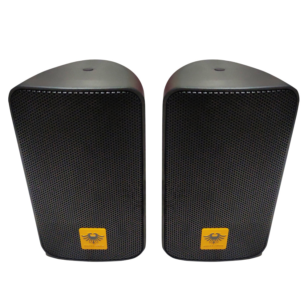 100w full best sale range speaker