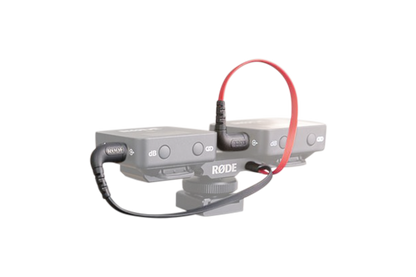 RODE SC11 Right Angle 3.5mm TRS Y-Splitter Cable