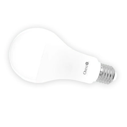 [CLEARANCE] OMNI LED Lite A72 Mini Light Bulb 12W 220V E27 Base A-Bulb Series with 6500K CT Daylight, Energy Saving for Home Lightning | LLA72E27-15W-DL