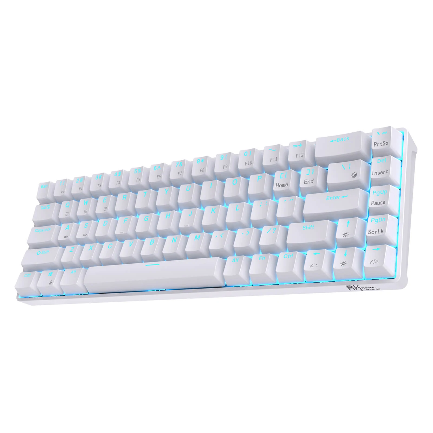 Royal Kludge RK RKG68 68 Keys Mechanical Gaming Keyboard 2.4G Wireless Hot Swappable TKL with Bluetooth 5.0 (White, Black) (Blue Clicky, Red Linear, Brown Tactile Switch)