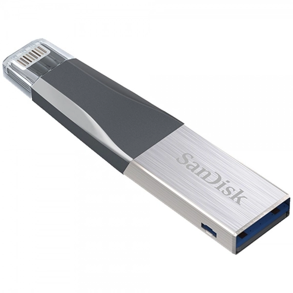 iXpand Mini Flash Drive SDIX40N-128G-GN…