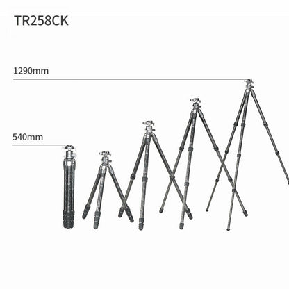 Benro TR258CK Tortoise Series Professional Carbon Fiber Tripod with G30 Ball Head for DSLR Cameras