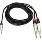 Hosa Technology REAN 3.5mm TRS to Dual 1/4" TS Pro Stereo Breakout Cable (6')